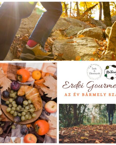 Erdei Gourmet Séta