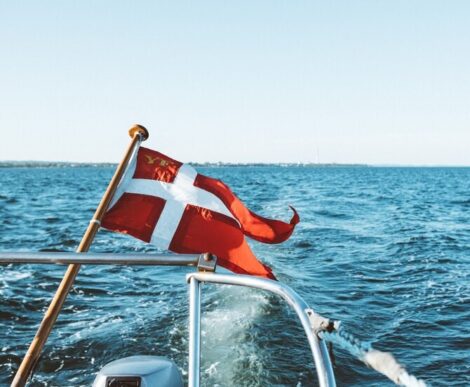 Vad Viking avagy Dánia ízei